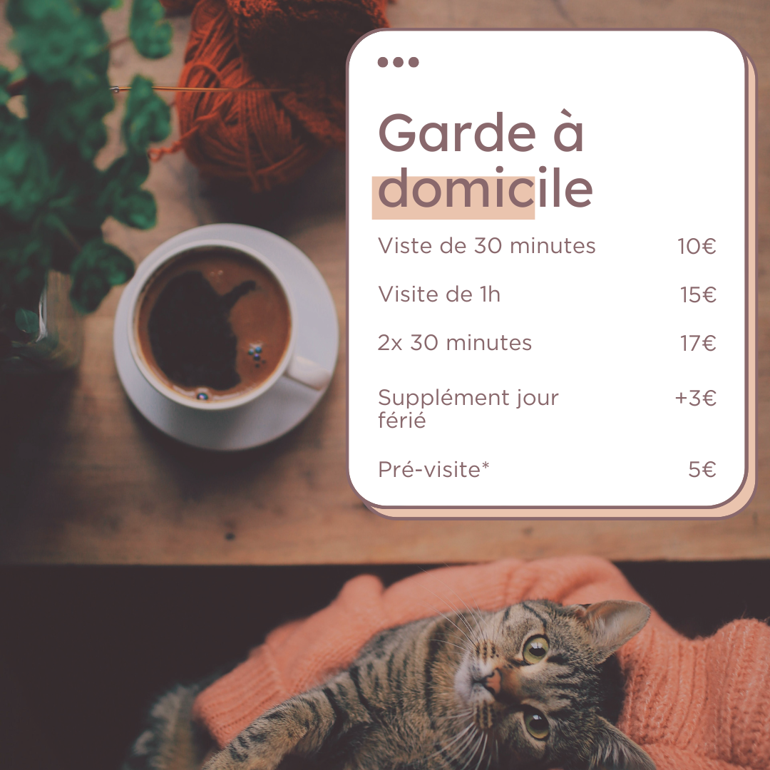 Grille tarifaire du cat-sitting